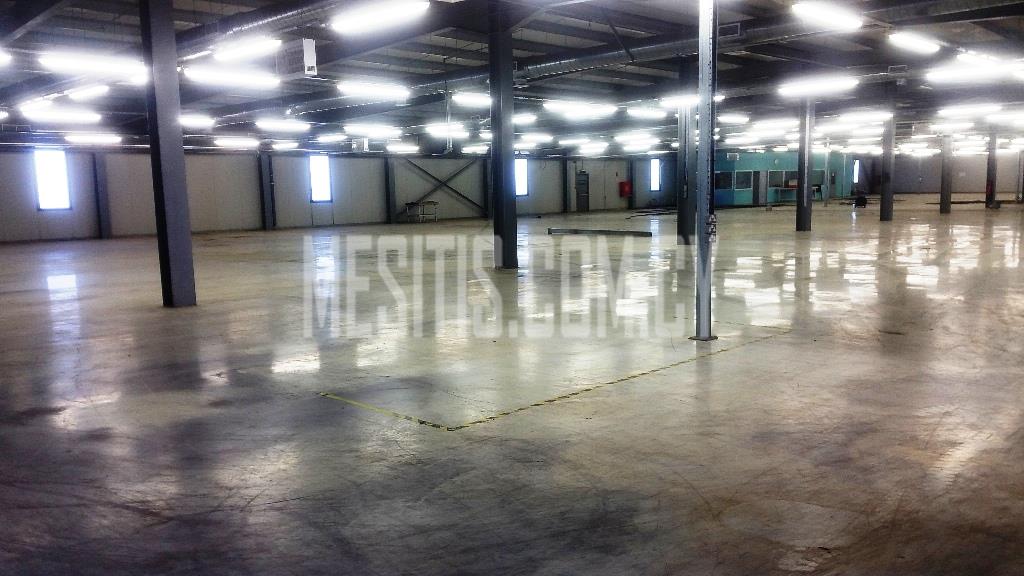 Huge Luxury Factory / Warehouse Of 4500 Sq.M. And 900 Sq.M. Offices For Sale Or For Rent #3747-18