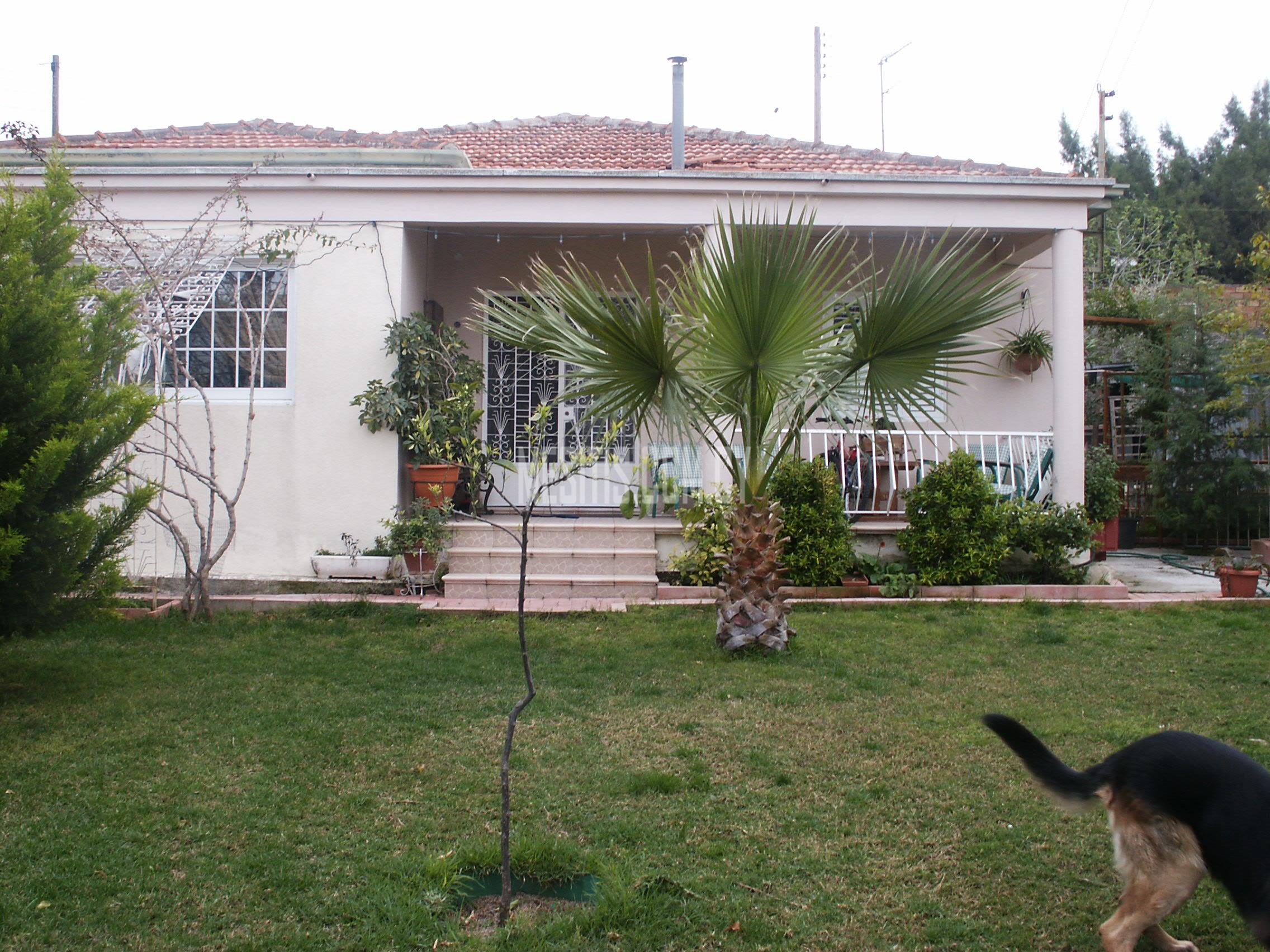 Old - Style Spacious And Private 3 Bedroom House With Very Large Outdoor Areas Only 200 M. From Platy Aglantzia #2847-0